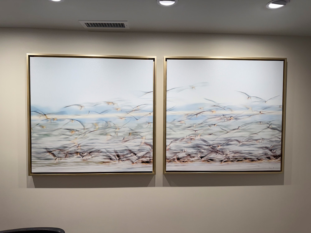 Img 4543 Photography Art | Dennis Goodman Photography, Inc.