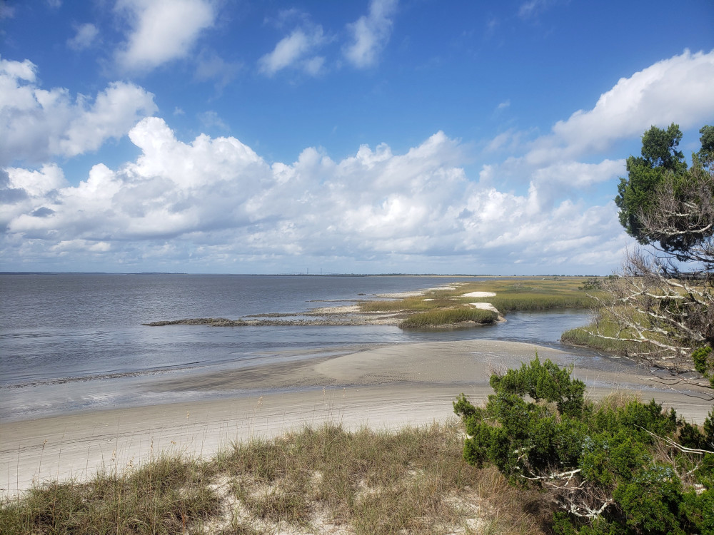 St Andrews Beach, Jekyll Island, Georgia Photography Art | Sandra S Newman Photographer