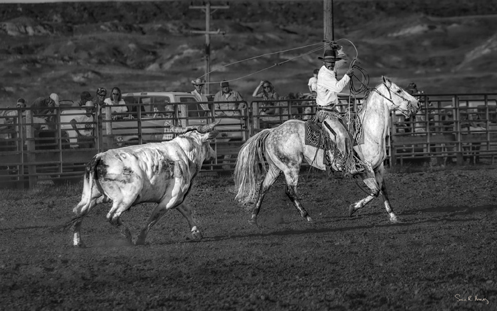 Heavey Dsc08247a Photography Art | Sean R. Heavey