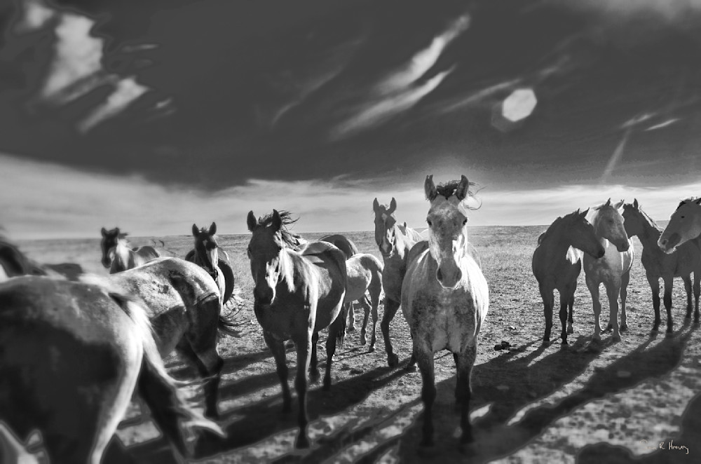 Heavey Img 0138 Photography Art | Sean R. Heavey