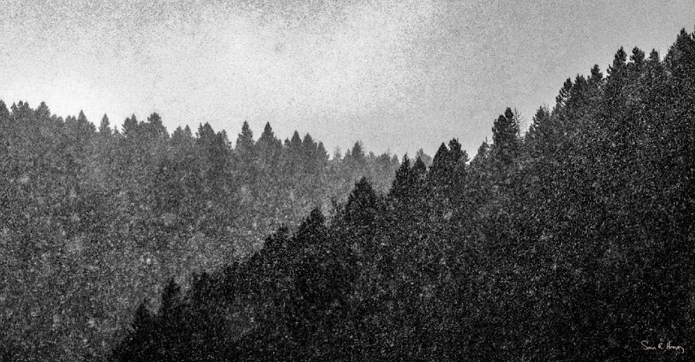 Heavey Img 1712 Photography Art | Sean R. Heavey