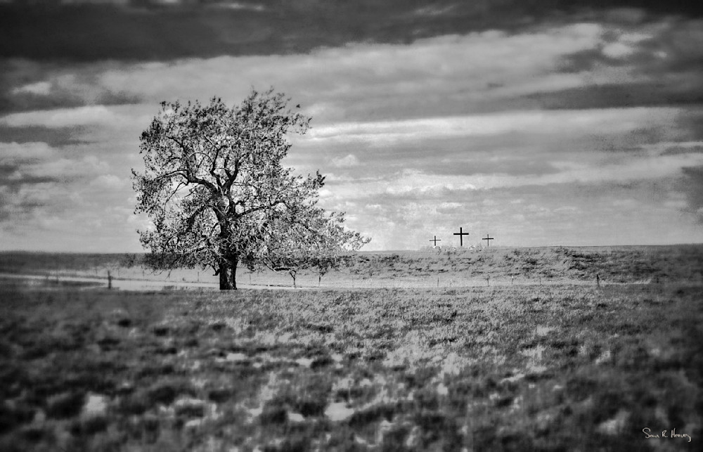 Heavey Img 1936 Photography Art | Sean R. Heavey