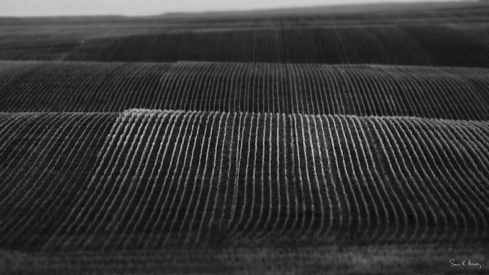 Heavey Img 3170 Photography Art | Sean R. Heavey