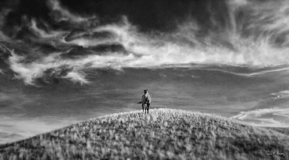 Heavey Img 3939 Photography Art | Sean R. Heavey