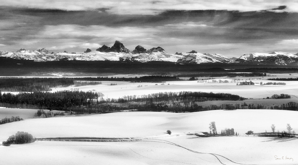 Heavey Snapseed 47 Photography Art | Sean R. Heavey