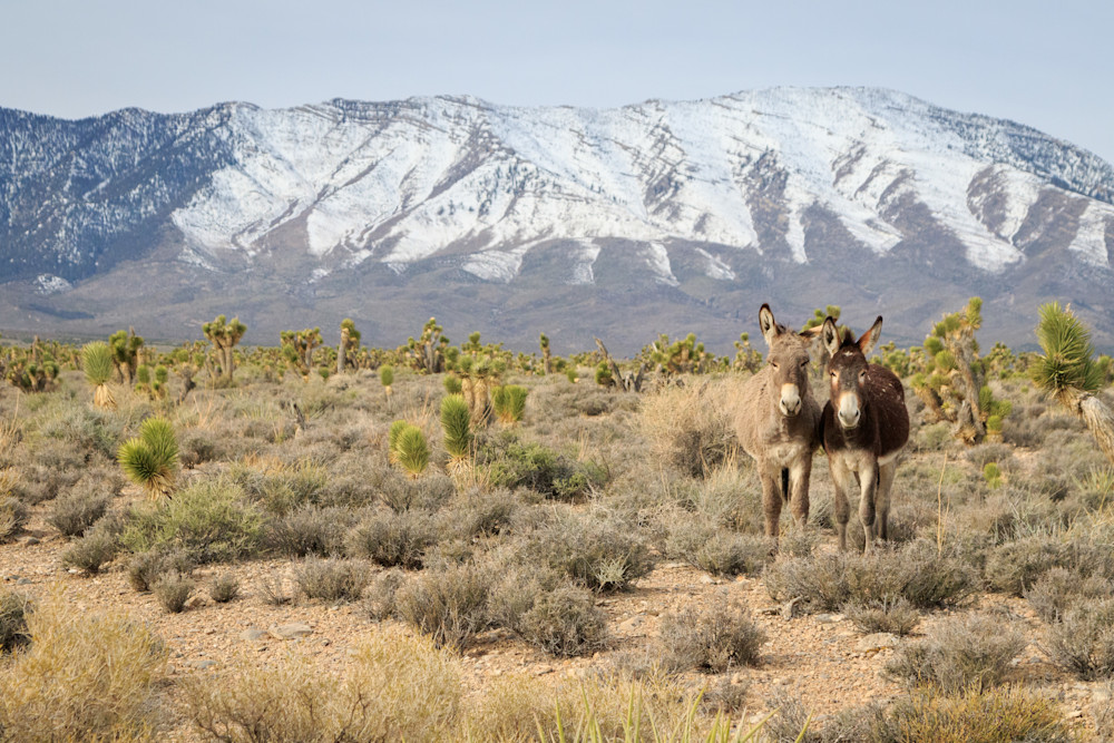 S00 A1239 Photography Art | Captured Adventure Photography