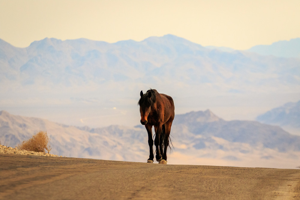 S00 A1444 Photography Art | Captured Adventure Photography