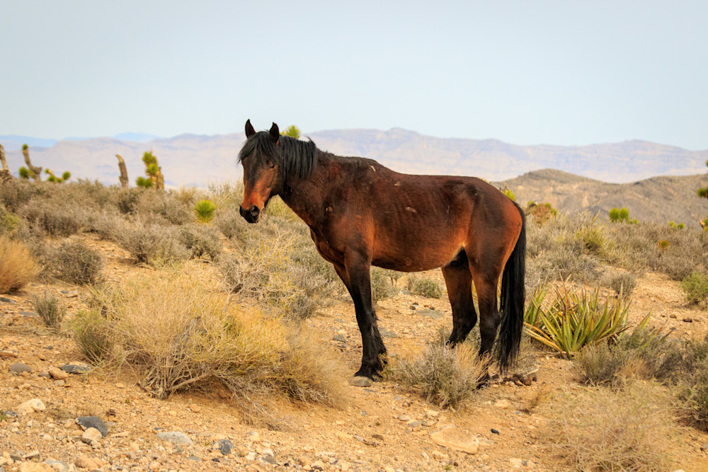 S00 A1509 Photography Art | Captured Adventure Photography