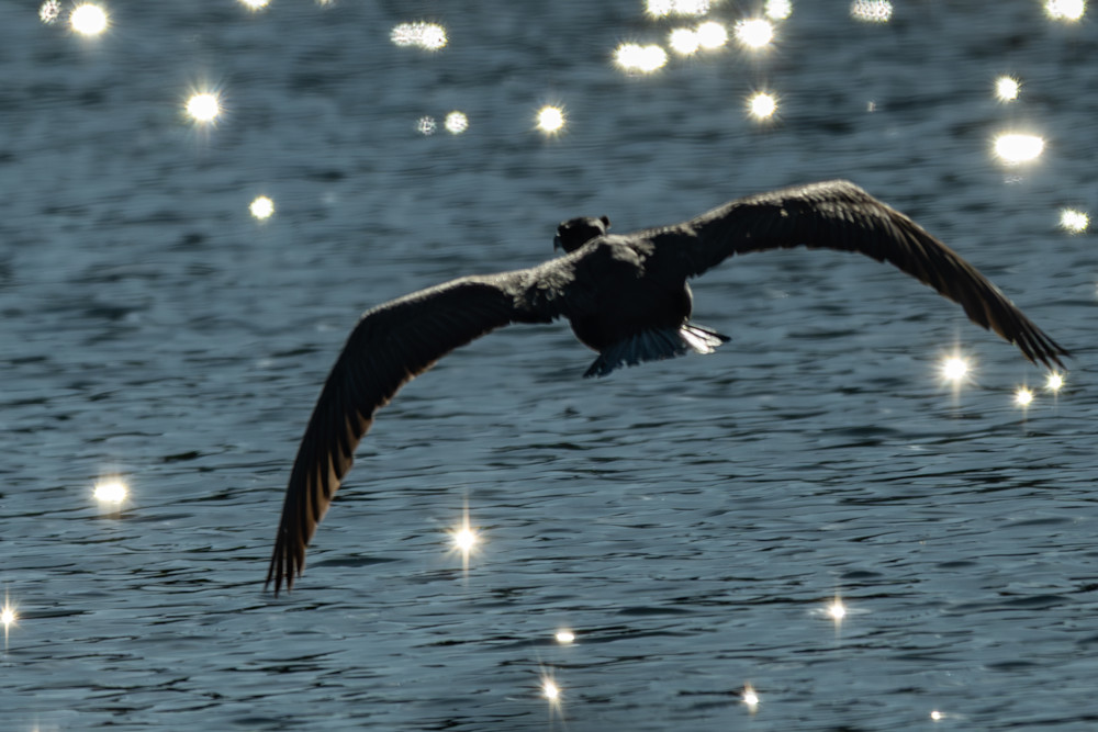 Wat 5751 Enhanced Nr Photography Art | Lazy J Z Photography