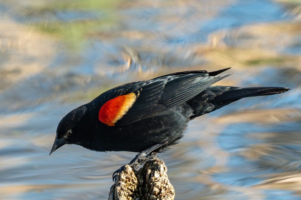 Wat 5842 Enhanced Nr Photography Art | Lazy J Z Photography