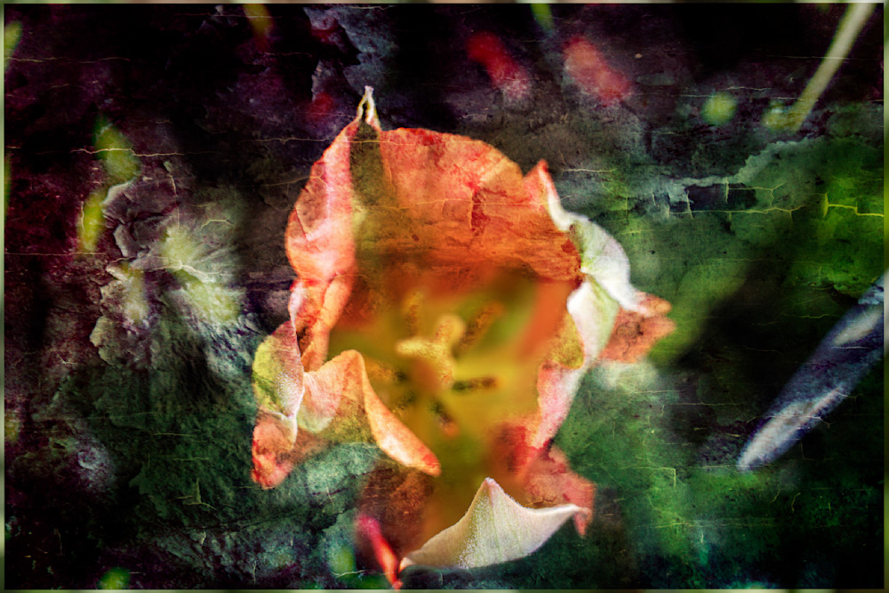 Crazed-flower art