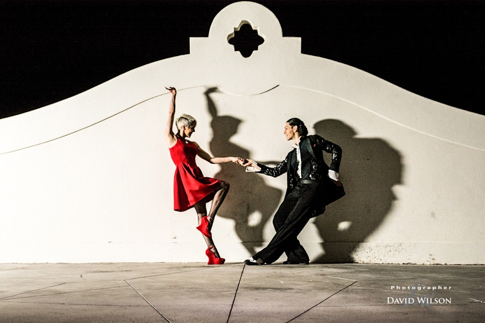 Dancing The Night Away Photography Art | Photographer David Wilson, LLC