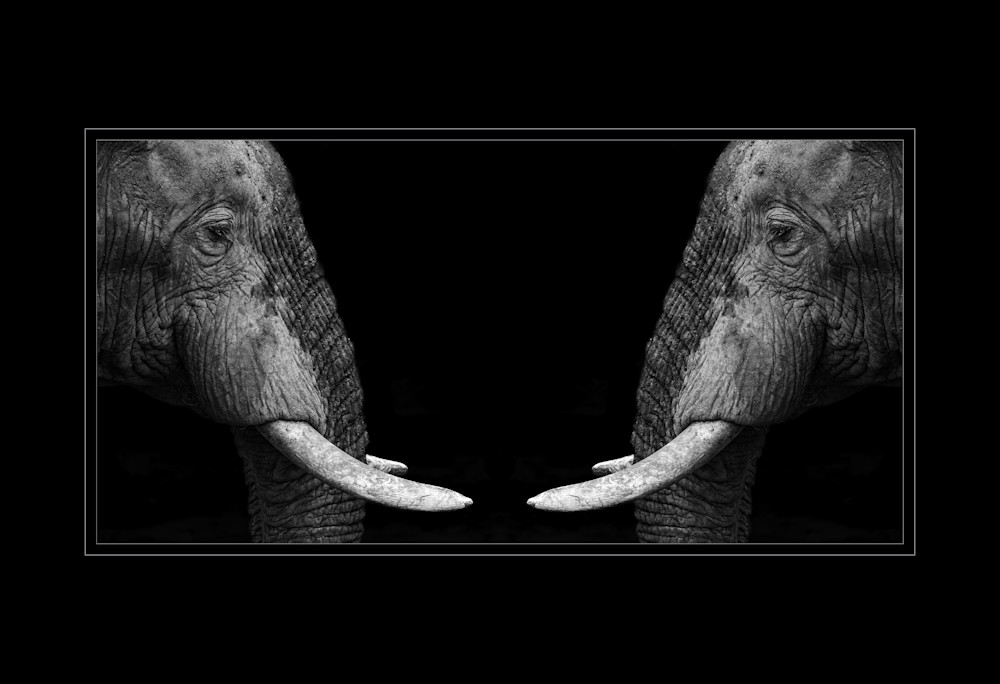 Echoes Between Giants Photography Art | Kevin Morris Photography USA