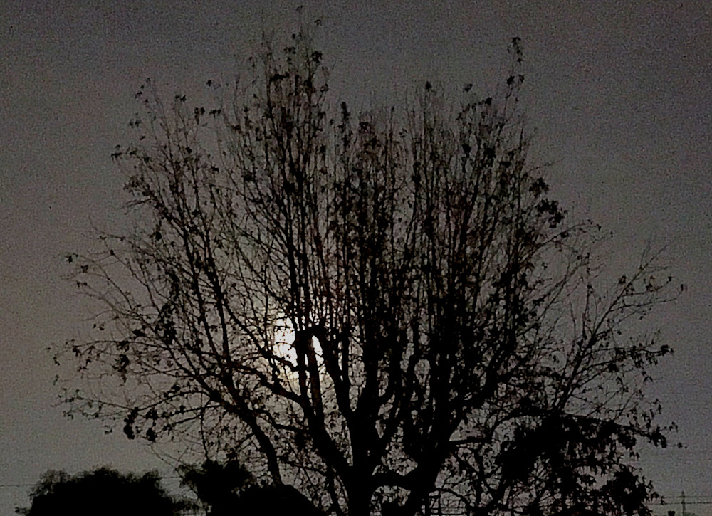 Mysterious Night - Captivating Night Photography by Felton Fotography