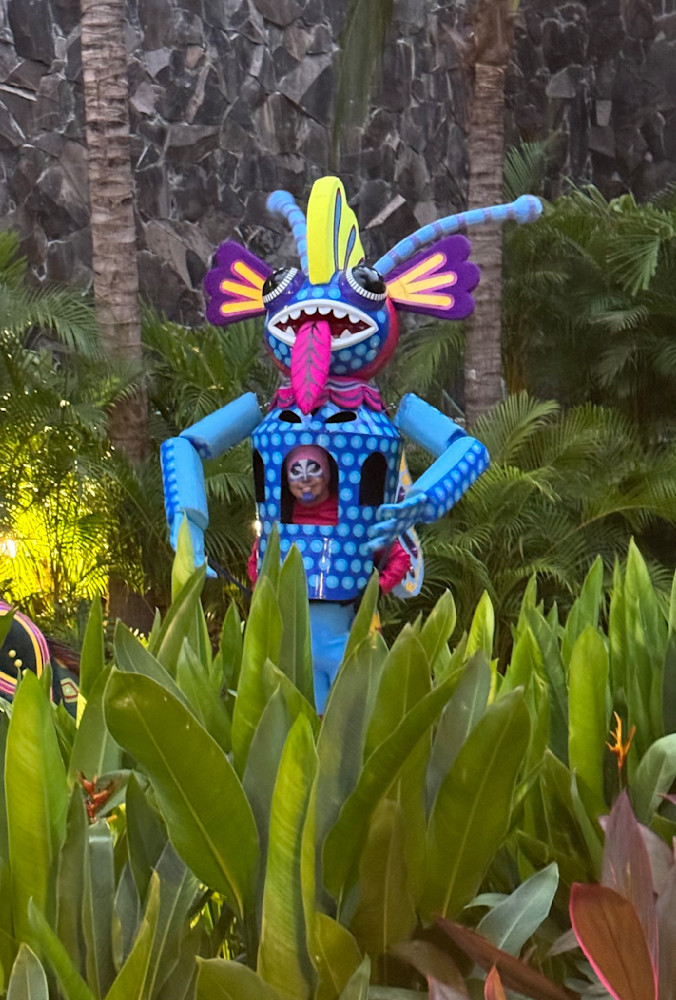 Welcome Bird Photography Art | Felton Fotography