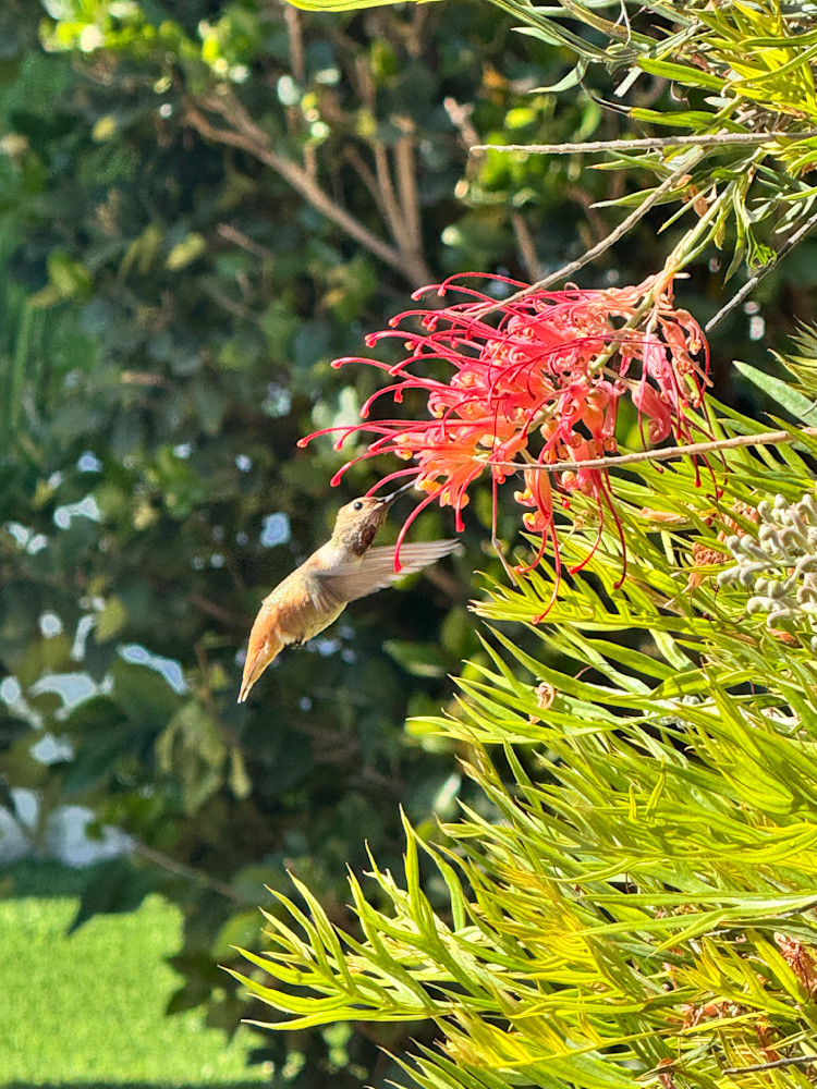 Catching All The Food Photography Art | Felton Fotography