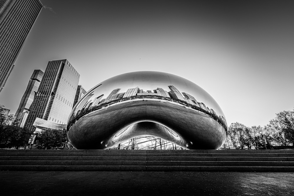 Chicago Bean Portrait Photography Art | John Lazo Photography