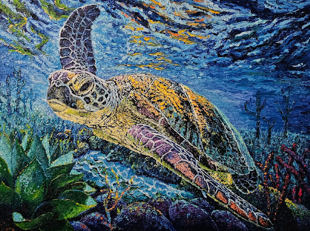 Sea Turtle Art | Bill Sarnowski Fine Art