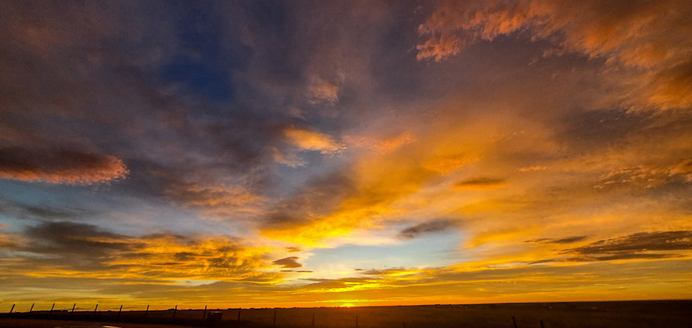 Eastern Orange Photography Art | Photographer David Wilson, LLC