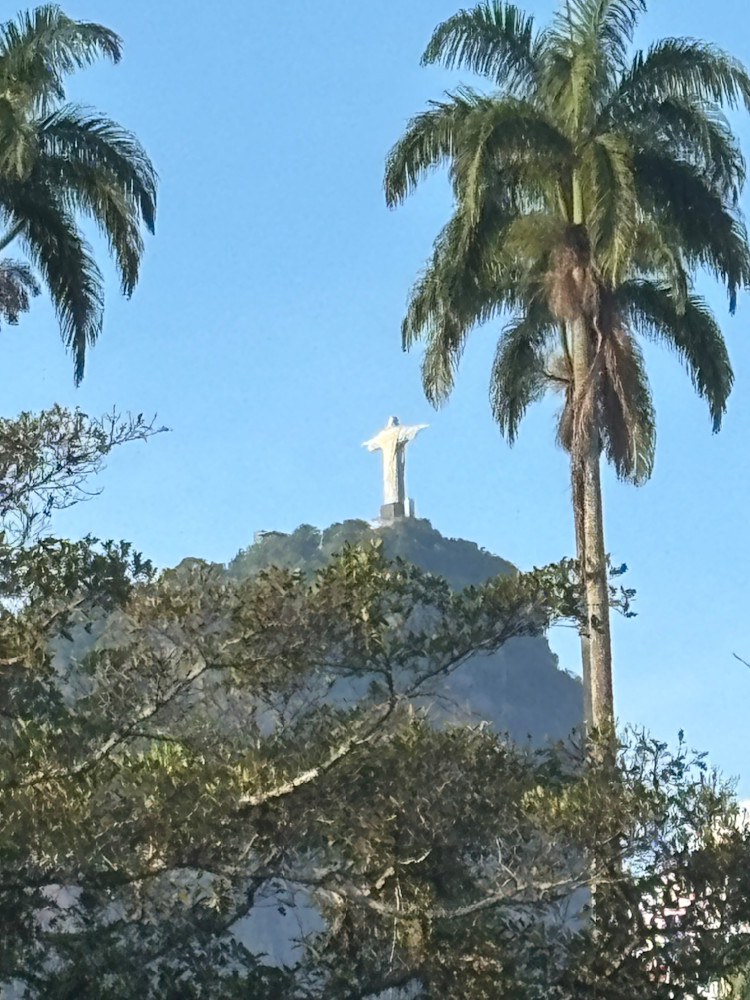 Christ The Redeemer Palms Corcovado Photography Art | Leilani Cyphers Photography