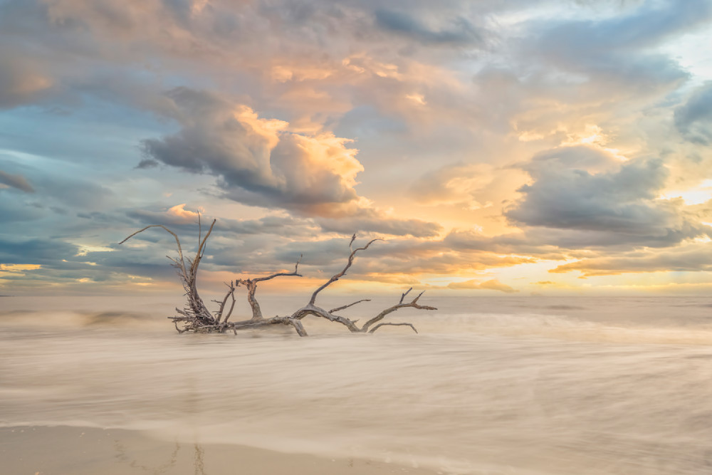 Jekyll Island 29 Photography Art | Dennis Goodman Photography, Inc.