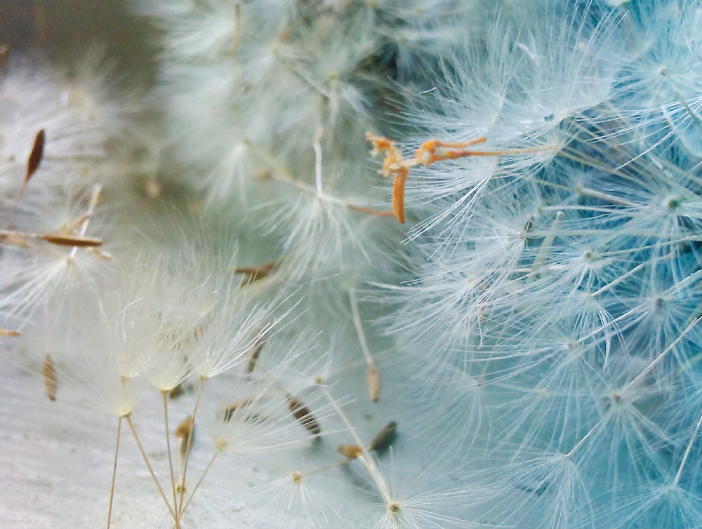 Simple Pleasures 3
