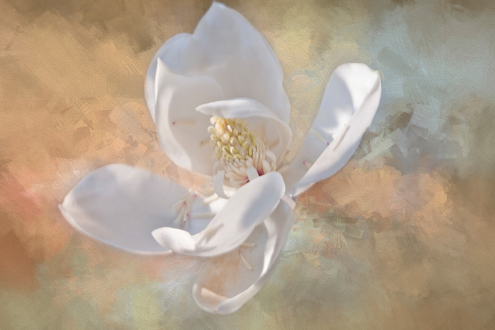 Gentle Breeze- Magnolia Collection 2