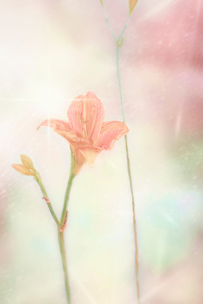 Summer Romance