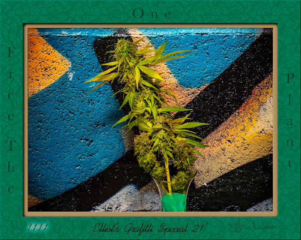 Elliot S Grafitti Special 21 Grn Smoothie Frame Copy Photography Art | Jeffrey Eichen