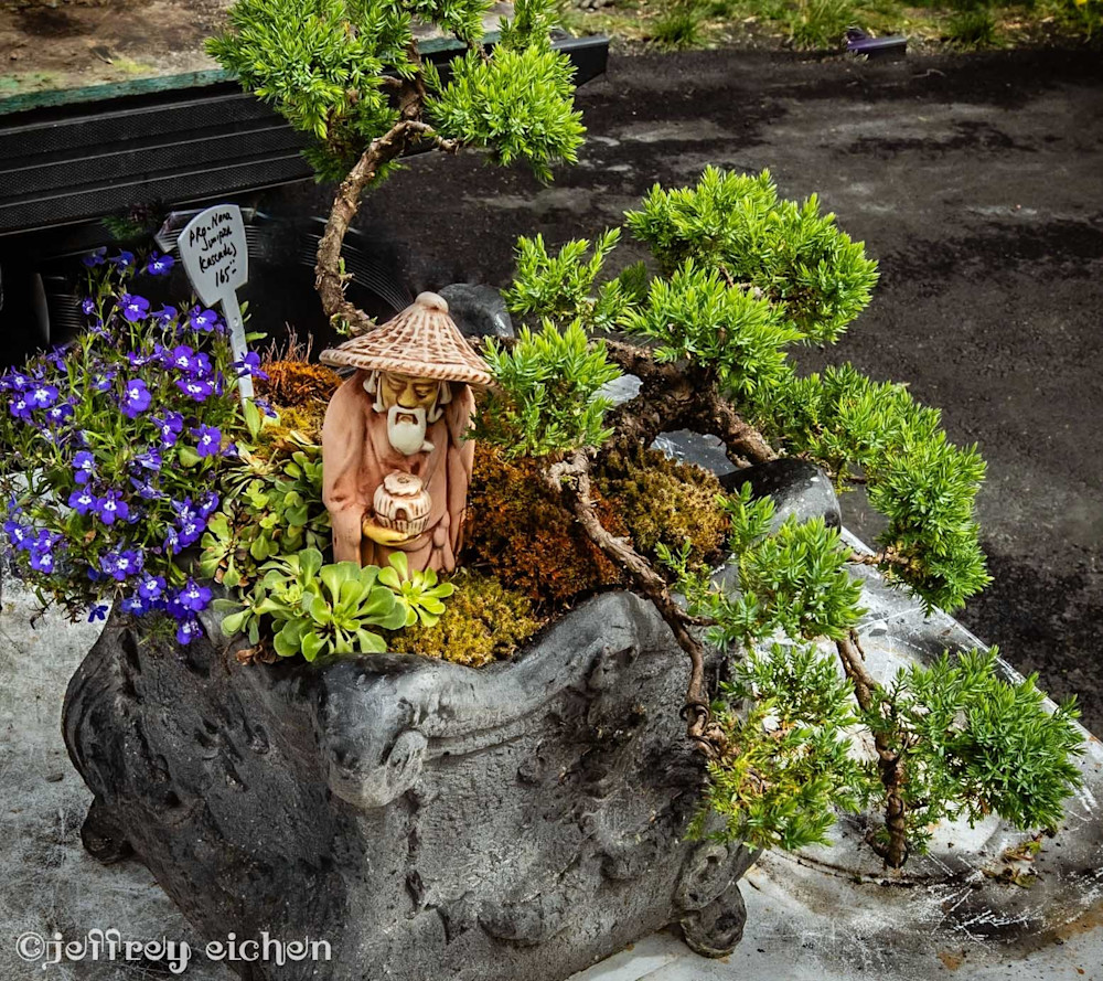 Bonsai Sat Mkt Photography Art | Jeffrey Eichen