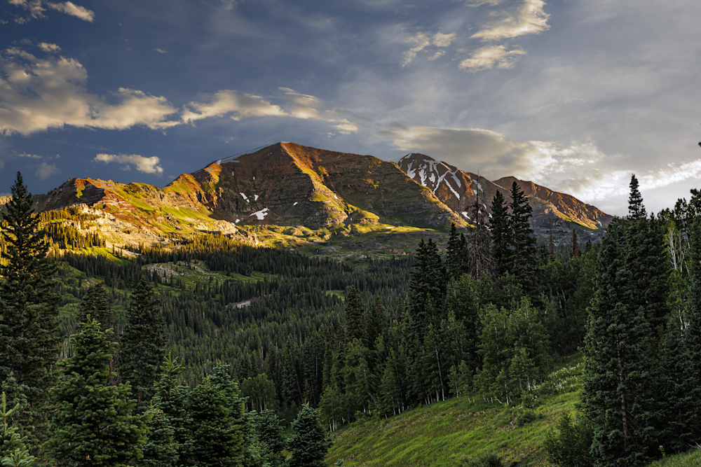 07022025 Wildflowers Hec2061 Photography Art | James H Egbert's Silver Branch Studios