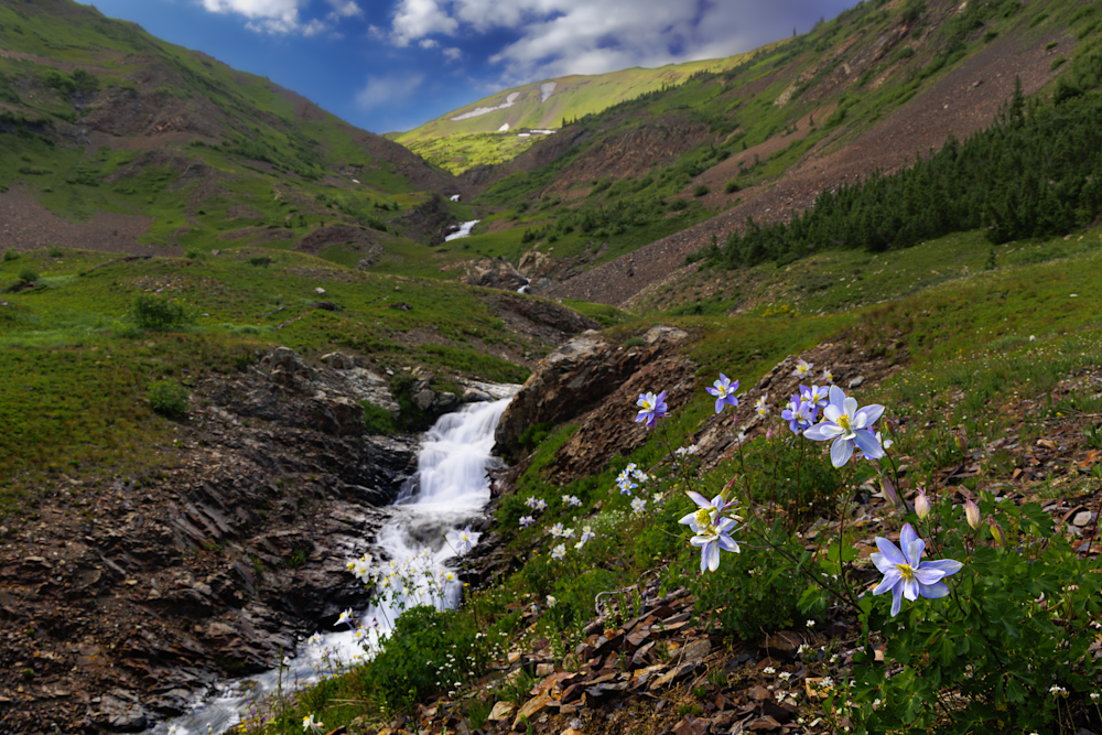Cascades and Columbines - Colorado Landscape Photography