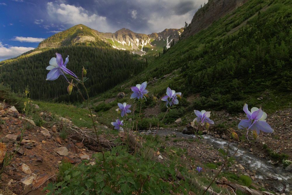 07012025 Crested Butte Hec2014 Photography Art | James H Egbert's Silver Branch Studios