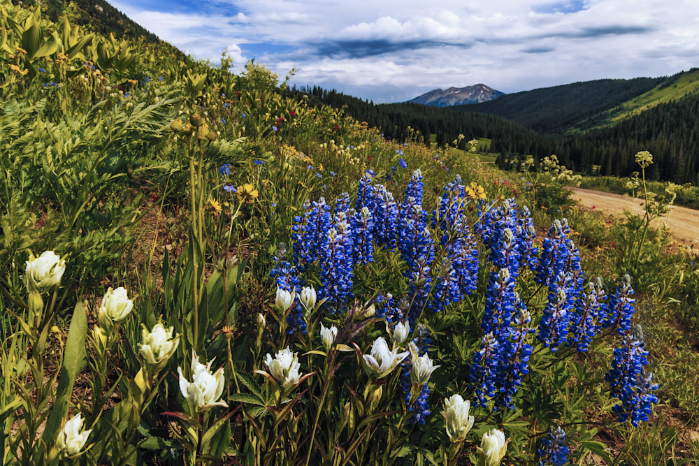 07012025 Crested Butte Hec1969 Photography Art | James H Egbert's Silver Branch Studios