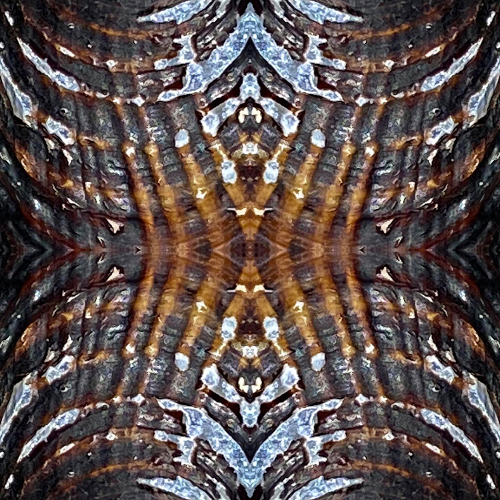 Zealous Art Hello Cara Davis