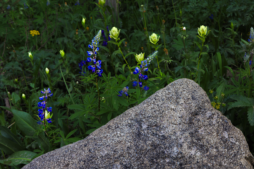 07012025 Crested Butte Hec1886 Photography Art | James H Egbert's Silver Branch Studios