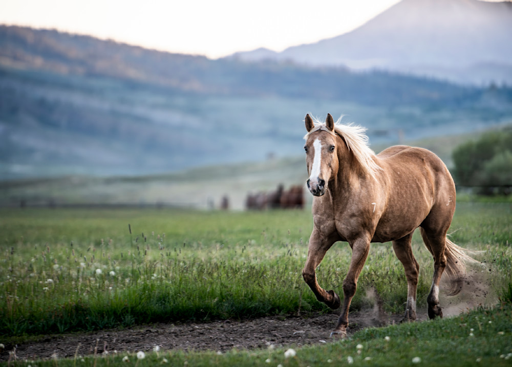 Jd87057 2025 Red Rock Ranch Workshop Planning Edit 2 Photography Art | JoeDuty.com