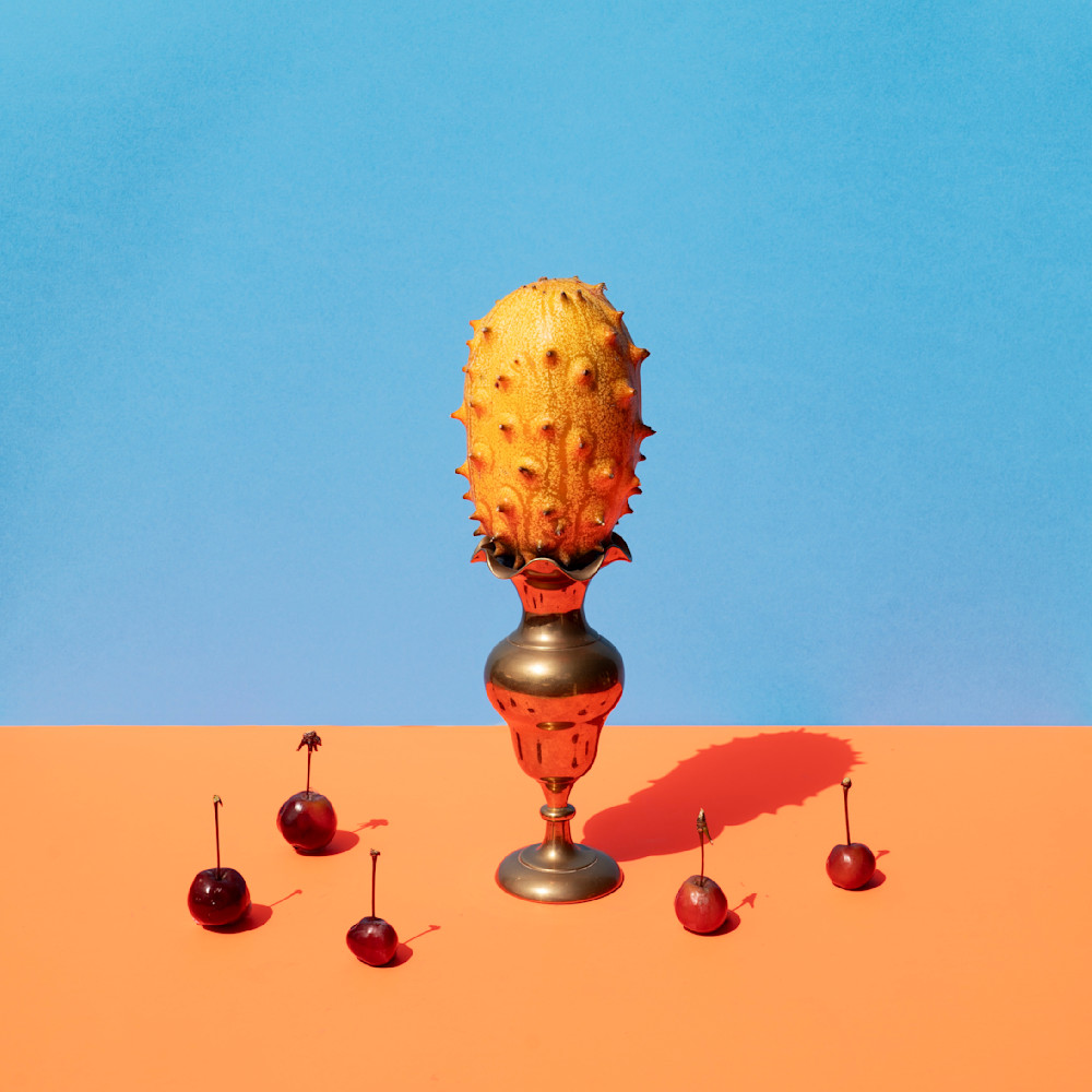 Disciples & Kiwano 2 Photography Art | Lester Blair Gallery