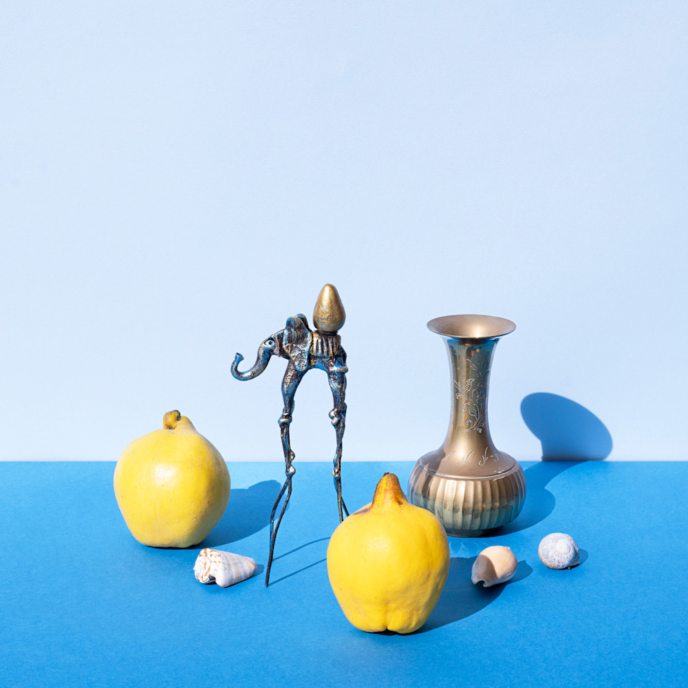 Thinking Of Dali Photography Art | Lester Blair Gallery