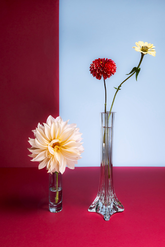 Three Flower With Two Vases Photography Art | Lester Blair Gallery