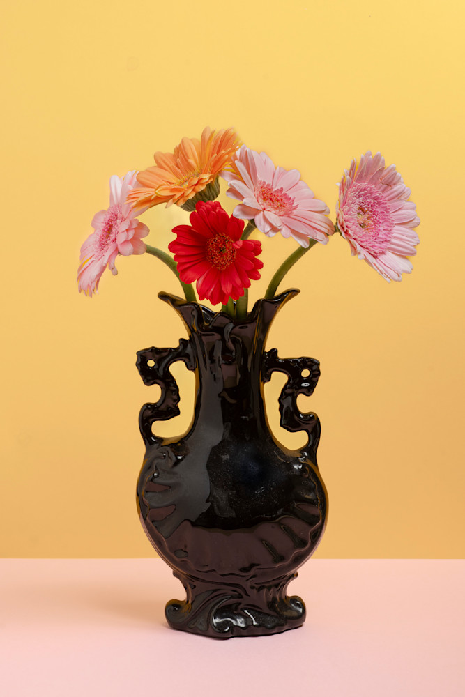 Black Vase & Gerbers Photography Art | Lester Blair Gallery