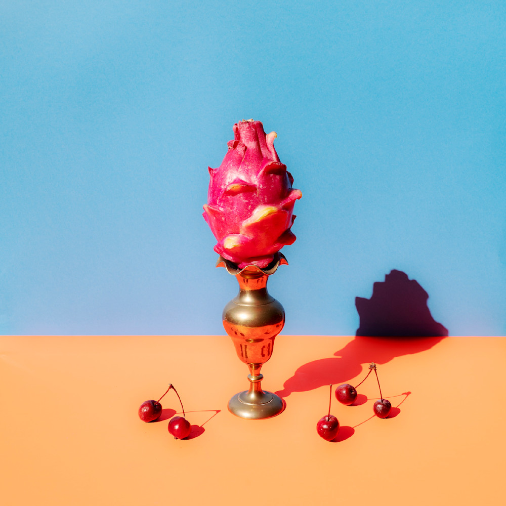 Still Life With Dragon Fruit Photography Art | Lester Blair Gallery