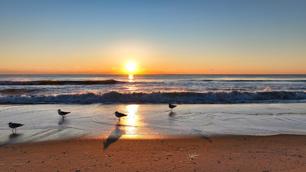 Seagulls And Surf Photography Art | Artistic Insights Aerial Photography