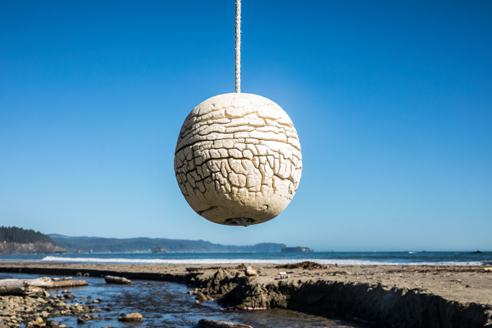 Some sort of foam type float weathered / cracked and hanging by a rope from driftwood on the beach just south of Toleak Point on the Olympic National Park Coastal Strip, Washington, USA.