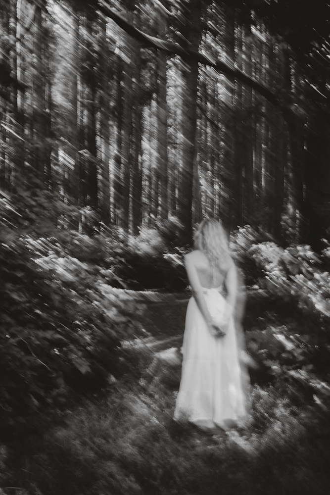 Forest Reverie – Expressionist Fine Art Photo by Luis R.R. Siqueira