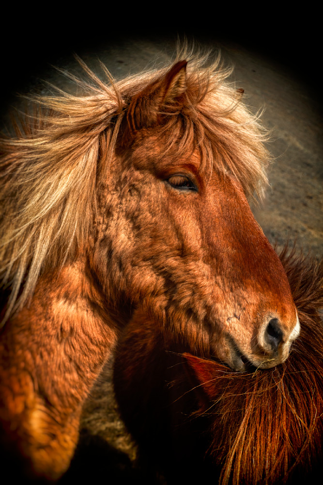 File0251 Edited 1124 20x30 Crop Photography Art | Michael Malandra Fine Art & Photography