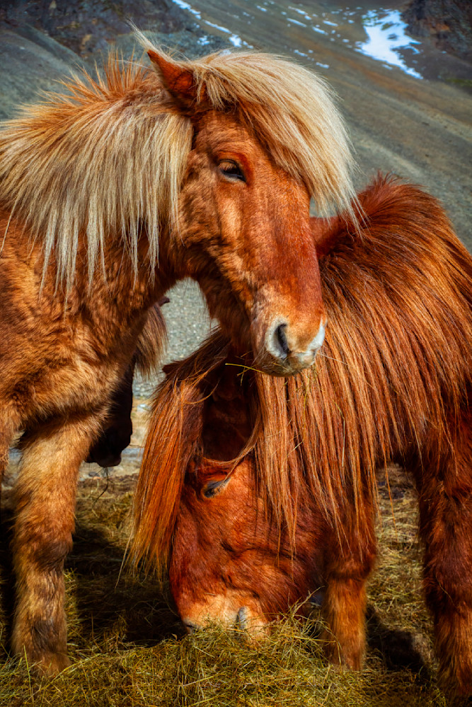 File0224 Edited 1124 2 20x30 Crop Photography Art | Michael Malandra Fine Art & Photography