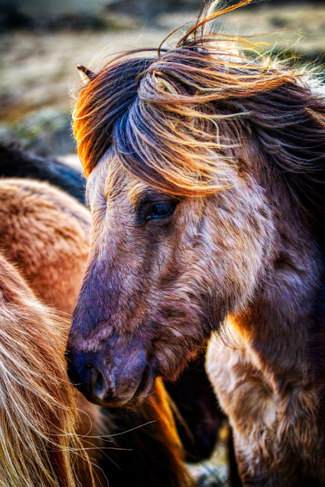 File0407 Edited 1124 20x30 Crop Photography Art | Michael Malandra Fine Art & Photography