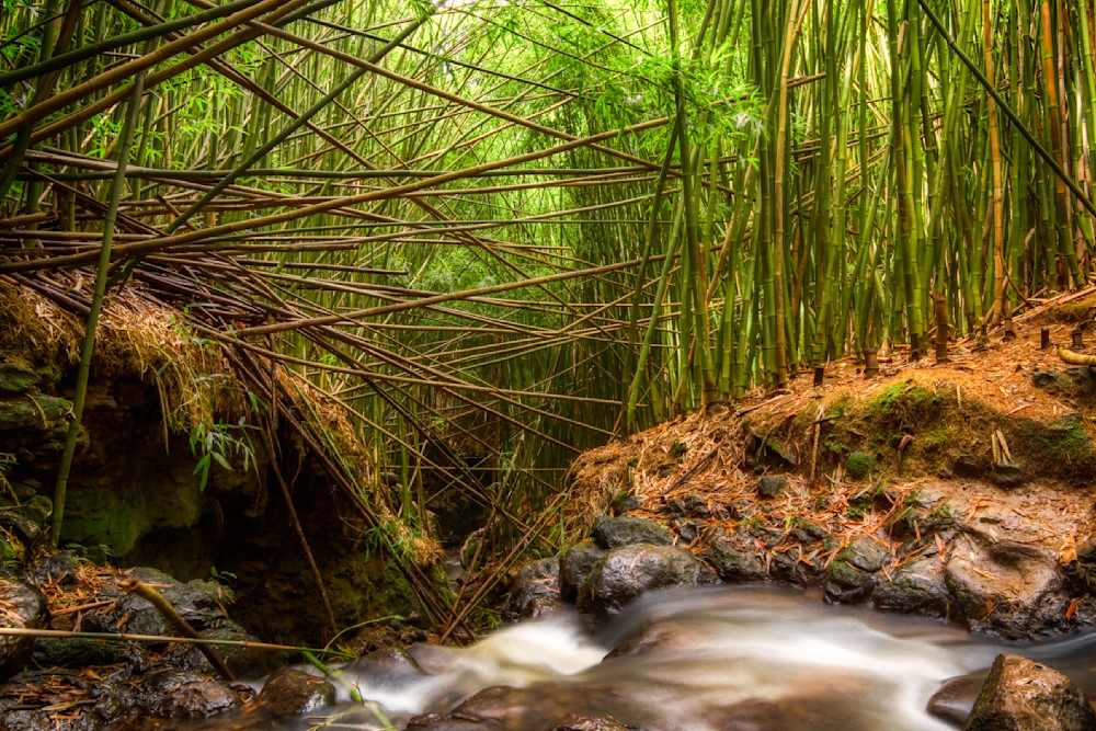 Mg 3384 Edited 0125 1 Edit 20x30 Crop Photography Art | Michael Malandra Fine Art & Photography