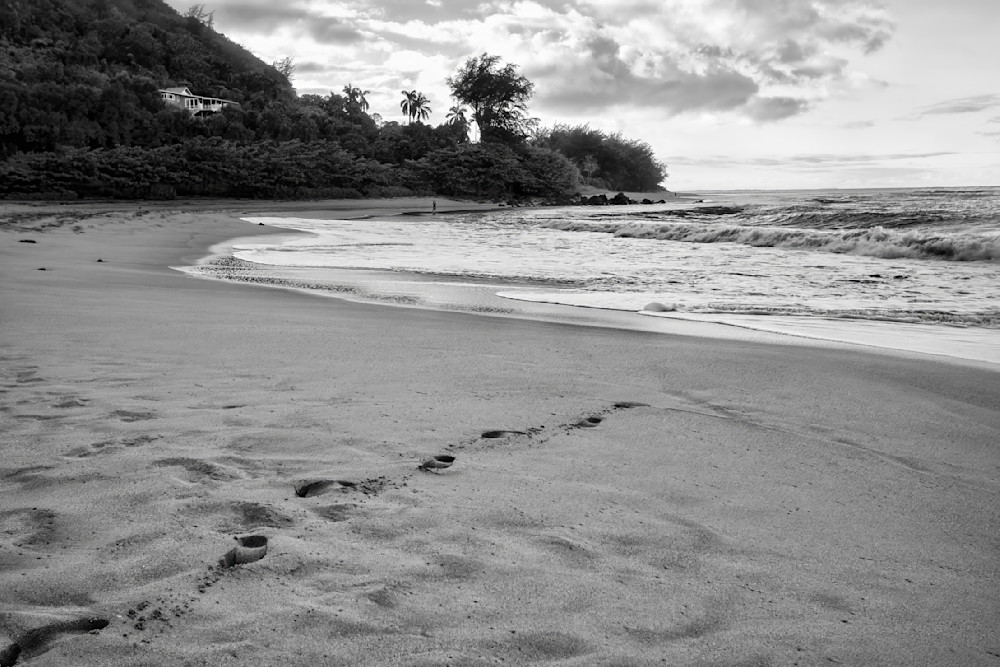 Img 0513 Black White Edit 1223 20x30 Photography Art | Michael Malandra Fine Art & Photography